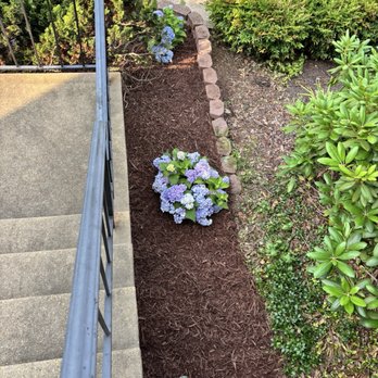 C Landscape & Hardscape - More of front garden clean up - Landscaping Near Me - Fairfax, Virginia C Landscape & Hardscape - More of front garden clean up - Landscaping Near Me - Fairfax, Virginia