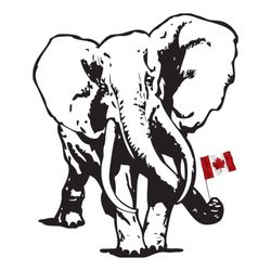 Elephant Premium Bins - Elephant Premium Bins