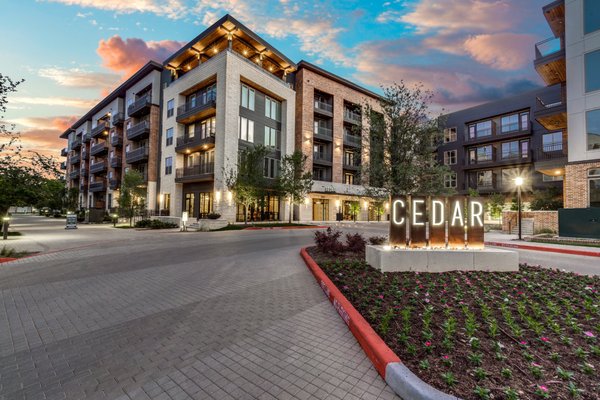 Cedar at The Branch Apartments by null