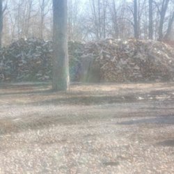 Amber Tree Service