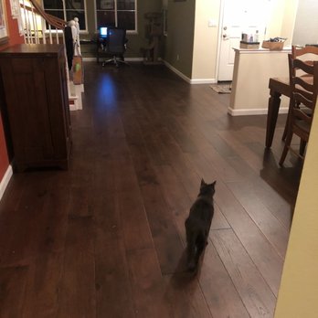 The Floor Store - After- hardwood floors. The cat approves - Carpeting Near Me - Concord, California