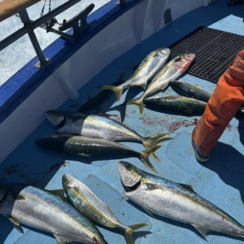 Davey's Locker - Fishing Near Me - Newport Beach, California