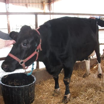 Shatto Milk - Tours Near Me - Osborn, Missouri