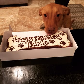 The Dog Bakery - Trixie loved her first birthday cake! - Pet Stores Near Me - Pasadena, California The Dog Bakery - Trixie loved her first birthday cake! - Pet Stores Near Me - Pasadena, California
