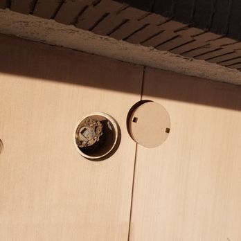 High Standards Concrete - pour a lid utility box cover to match concrete.. - Masonry/Concrete Near Me High Standards Concrete - pour a lid utility box cover to match concrete.. - Masonry/Concrete Near Me