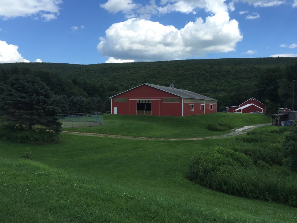 SKY VIEW FARM 321 Lower Cherry Valley Rd, Saylorsburg, PA Yelp