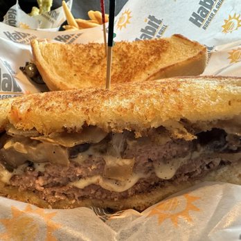 Habit Burger & Grill - New steak burger - Burgers Near Me - Ashburn, Virginia Habit Burger & Grill - New steak burger - Burgers Near Me - Ashburn, Virginia