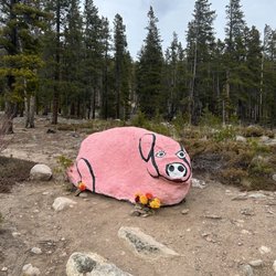 George & Nick's Pizza & Steakhouse - Silly pig I saw in Colorado a month ago.