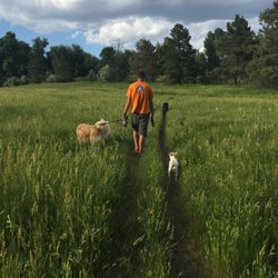 Gentle Hearts Pet Sitting