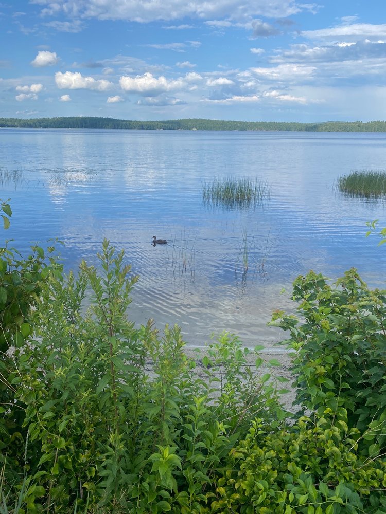 Lake Massabesic Image