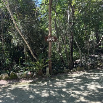 Cenote Tortuga - A view of the path to Cenote Dorca - Local Flavor Near Me - Quintana Roo, ROO Cenote Tortuga - A view of the path to Cenote Dorca - Local Flavor Near Me - Quintana Roo, ROO