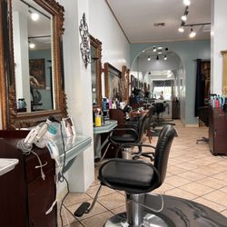 Mozart the Salon - Our salon