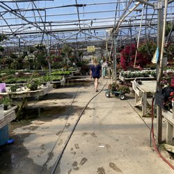 Country Place Greenhouse