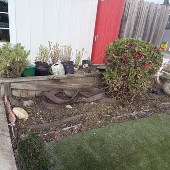 CBA Landscaping - The after! And he even trimmed our flower bush and bonsai (not pictured) - Landscaping Near Me CBA Landscaping - The after! And he even trimmed our flower bush and bonsai (not pictured) - Landscaping Near Me
