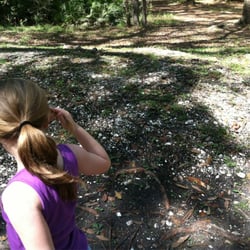 Native American Shell Ring - The ground is covered in shells this is what the whole "circle" looks like.