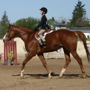 Melodic Farms - Julia Drushell in her X-bar class. - Horseback Riding Near Me - Davis, California
