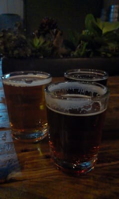 Rough Draft Brewing Company by null