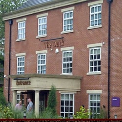The Duck