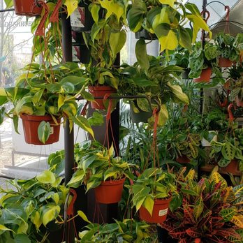 Moana Nursery - Landscaping Near Me - Reno, Nevada Moana Nursery - Landscaping Near Me - Reno, Nevada