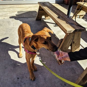 Free Range Brewing - Breweries Near Me - Charlotte, North Carolina