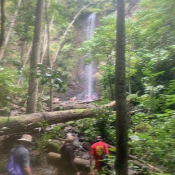 Ali'i Kayaks - Our first view of the Secret Falls. - Tours Near Me - Kapaa, Hawaii Ali'i Kayaks - Our first view of the Secret Falls. - Tours Near Me - Kapaa, Hawaii
