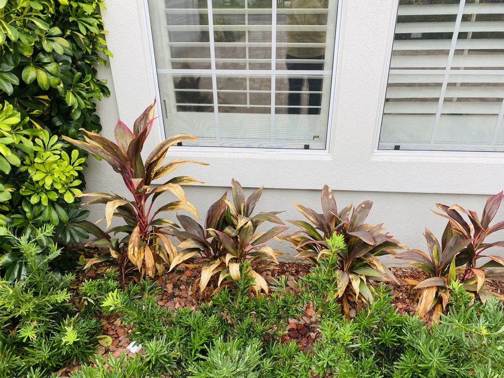 Slide of Safe Touch Pressure Washing & Painting