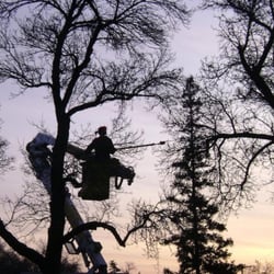 Northern Tree Co