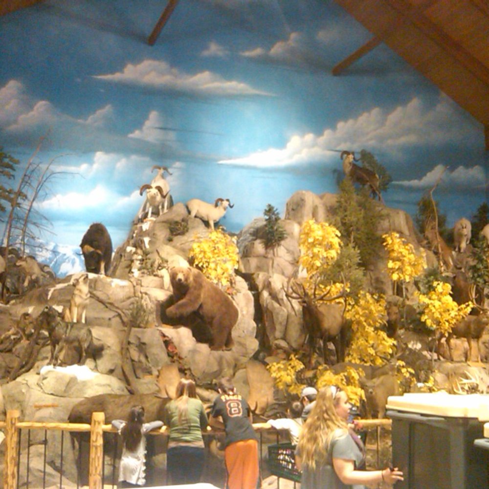 Cabela's - Guns & Ammo Near Me - Verdi, Nevada Cabela's - Guns & Ammo Near Me - Verdi, Nevada