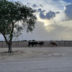 Jacobs Ranches - Arizona sunset at our Arizona Horse Boarding facility near Eloy, Casa Grande, Coolidge and Florence.