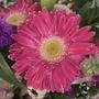 Photo of Sheryl's Flowers & Gifts