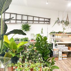 Leaf & Vine, Urban Plant Shop - A variety of indoor plant options as well as a potting bench and planting materials.