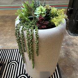 Replica succulents.