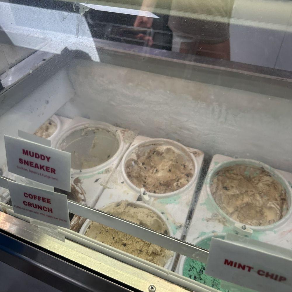 Two Scoops - I went with the Gator Tail - Ice Cream & Frozen Yogurt Near Me - Anna Maria, Florida