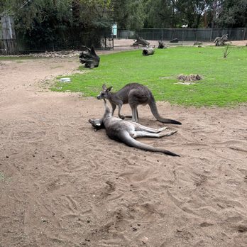 Featherdale Wildlife Park - Parks Near Me - Doonside, NSW Featherdale Wildlife Park - Parks Near Me - Doonside, NSW