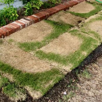 Tex Turf Sod - a patch of grass that has been mowed - Landscaping Near Me - North Richland Hills, Texas Tex Turf Sod - a patch of grass that has been mowed - Landscaping Near Me - North Richland Hills, Texas