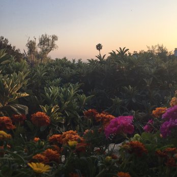 San Ysidro Ranch - Hotels Near Me - Montecito, California San Ysidro Ranch - Hotels Near Me - Montecito, California