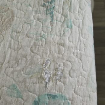 Sandy Shore Motel & Apts - Holes in comforter. The upkeep of room was subpar. - Hotels Near Me - Westerly, Rhode Island Sandy Shore Motel & Apts - Holes in comforter. The upkeep of room was subpar. - Hotels Near Me - Westerly, Rhode Island