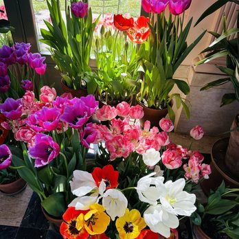 Filoli - Botanical Gardens Near Me - Woodside, California