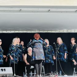 Coral Springs Festival of the Art