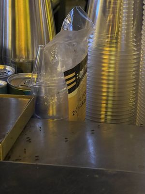 Boiler Room at Congress Hall by null