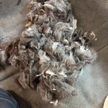 Groomobile Inc - Mats from Sammy - Pet Groomers Near Me Groomobile Inc - Mats from Sammy - Pet Groomers Near Me