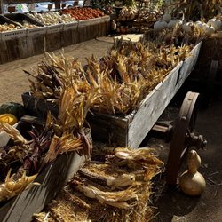 Brookshire Farms