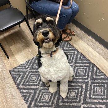 Animal Doctor Westside - All Smiles - Veterinarians Near Me - Manhattan, Kansas Animal Doctor Westside - All Smiles - Veterinarians Near Me - Manhattan, Kansas