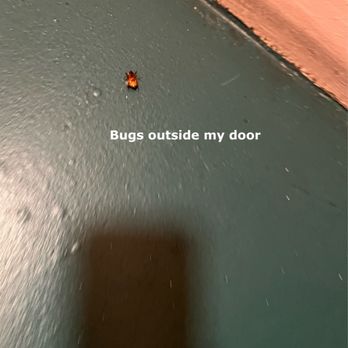 10401 Wilshire Building - Bugs on Staircaes - Apartments Near Me - Los Angeles, California 10401 Wilshire Building - Bugs on Staircaes - Apartments Near Me - Los Angeles, California
