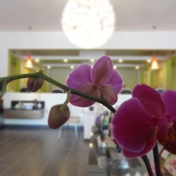 HH Nail Spa