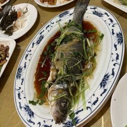 Lotus Garden - Steamed Whole Fish