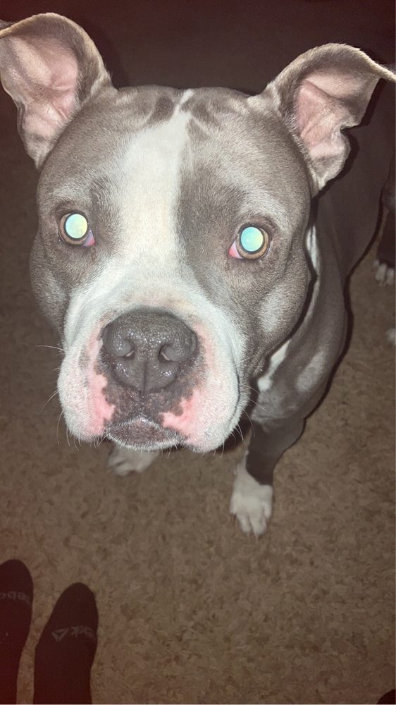 Aubreys Lucky Place - pet boarding facility in Lincoln, NE