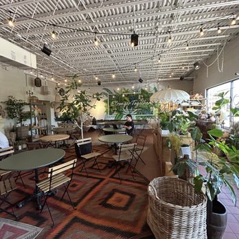 Black Phin - Coffee & Tea Near Me - Winter Park, Florida Black Phin - Coffee & Tea Near Me - Winter Park, Florida