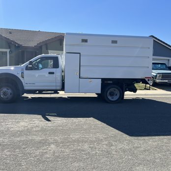 Green Tree Trimming & Removal - Tree Services Near Me Green Tree Trimming & Removal - Tree Services Near Me