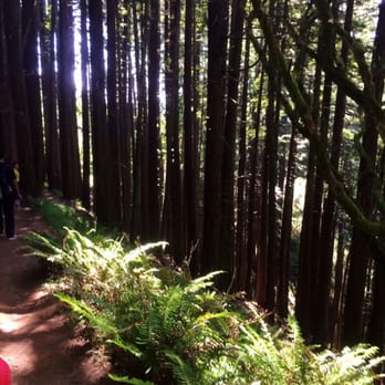 Dipsea - Hiking Near Me